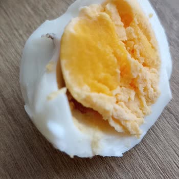 Keskinoğlu Yumurtanın İçinden Gri Şeyler Çıktı