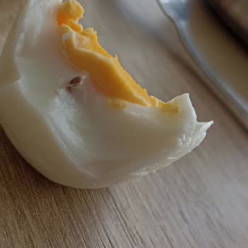 Keskinoğlu Yumurtanın İçinden Gri Şeyler Çıktı