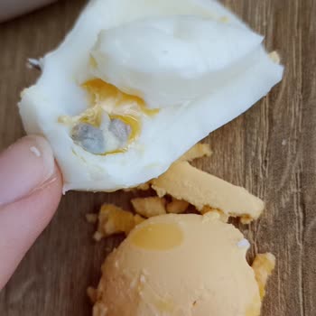 Keskinoğlu Yumurtanın İçinden Gri Şeyler Çıktı