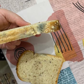 Uno Ekmek Tarihi Geçmemesine Rağmen Küflenmiş