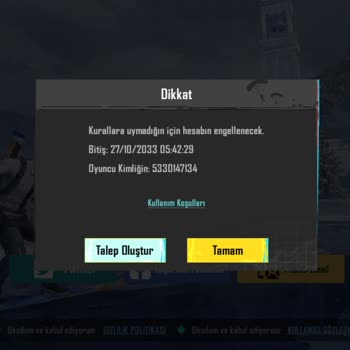 PUBG (Pubgmobile.com) 10 Yıllık Hesabım Neden Banlandı?