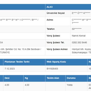 Sürat Kargo - Kargo Eşyasının Kaybedilmesi