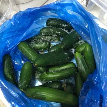 Arçelik Buzdolabı Bozuk Ürün Ve Çözüme Kavuşturulamayan Problemler
