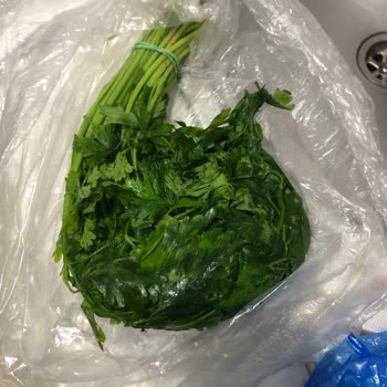 Arçelik Buzdolabı Bozuk Ürün Ve Çözüme Kavuşturulamayan Problemler