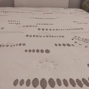 Bambi Yatak Rahatsızlığı Ve Kalite Sorunu!