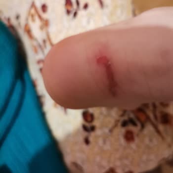 FLO Ayakkabı Ünlü Markanın Ayakkabısı Kullanımdan Sonra Sorun Yarattı, İade İşlemi Reddedildi