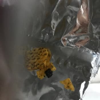 Doritos Cips İçinden Yabancı Cisim Çıktı.