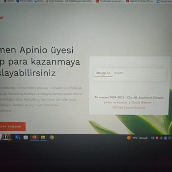 Apinio Hiçbir Maile Cevap Vermiyor