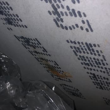 Belenco Markalı Taşın Çatlama Ve Kırılma Sorunu