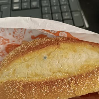 Popeyes Siparişimin Küflü Çıkması