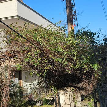 Türk Telekom'un Tehlikeyi Hiçe Sayması