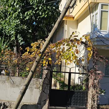 Türk Telekom'un Tehlikeyi Hiçe Sayması