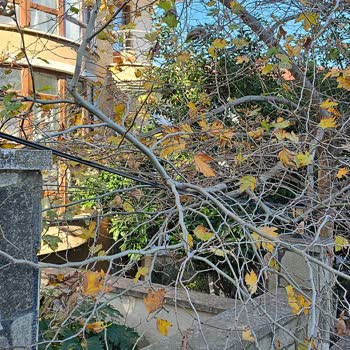 Türk Telekom'un Tehlikeyi Hiçe Sayması