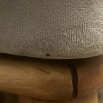 Modoko 3 Engince Mobilya New Jasper Koltuk Takımı Şikayeti