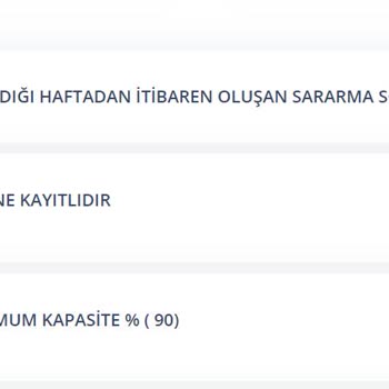 Apple 11 Renk Solması