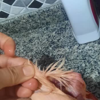 BİM Piliç Tazem Kılları Üstünde Kötü Durumda
