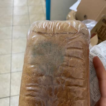 A101 Küflü Ekmek Satışı