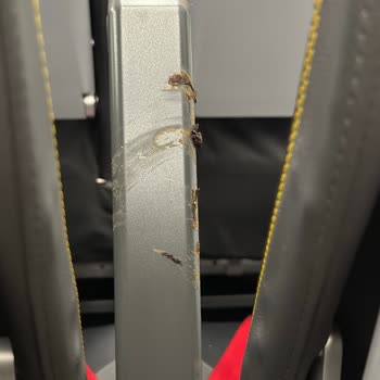 Pegasus’ta Temizlik Skandalı