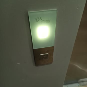 Vaineer Asansör Firması Arıza Gidermiyor