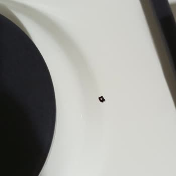 Franke Ocağımdaki Dökülme Problemi