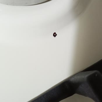 Franke Ocağımdaki Dökülme Problemi