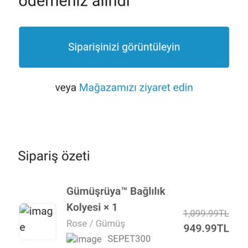 Gumusruya.com İle İletişim Kurulamıyor!