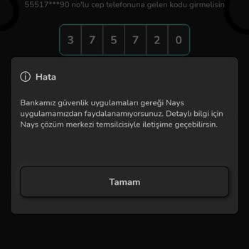 Nays Hesabıma Giremiyor Ve Bakiyemi Kullanamıyorum