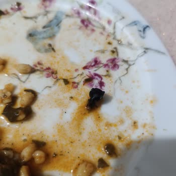 Superfresh Ispanağın İçinden Böcek Çıktı