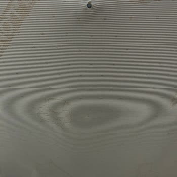 Bellona Koltuğun Yayları Çıktı