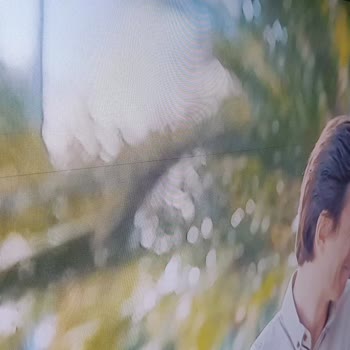 Samsung Ekranda Çizgiler Oluşmaya Başladı.