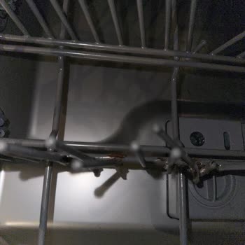 Teka Bulaşık Makinesi Sepeti Paslandı