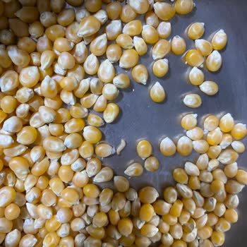 Carrefour SA Market Ürününde Şok Edici Kurt Sürprizi!