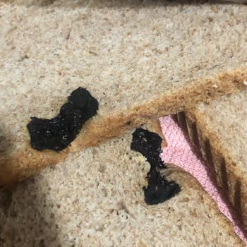 UNO Ekmek Ekmeğimin İçinde Bilinmeyen Bir Cisim Çıktı