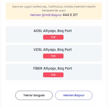 Netspeed'in Düzenleme Çalışması