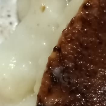 Ender Baklavacısı Tatlıdan Kıl Çıktı