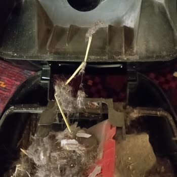 Bosch Süpürge Torbası Dışına Çekiyor.