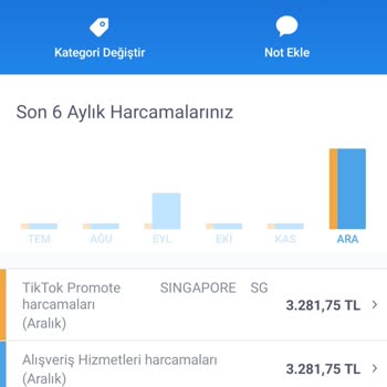 TikTok İş Bankası Kartımdan Para Çekmiş