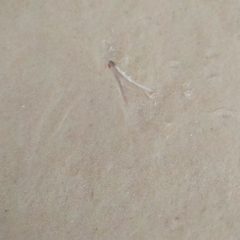 Piyale Un Paketinde Plastik Parçası