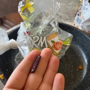 Eti Gıda Tahta Parçası Çıktı