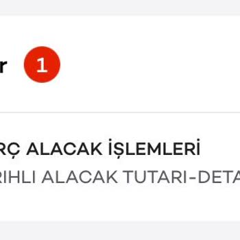 Ak Yatırım Borç Alacak İşlemi