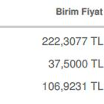 Sadenet Kendini İş Yapıyor Değil Oyun Parkında Sanıyor.