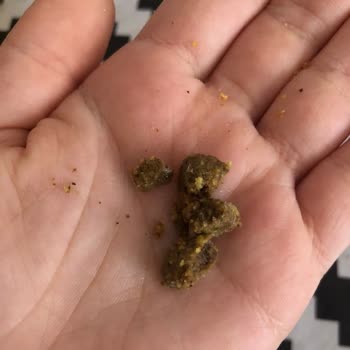 BİM Cipsten Çıkan Cisim