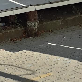 Edremit Belediyesi Altınoluk Lunaparkı Uygun Olmayan Meskun Alan İçinde