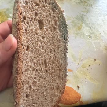 Happy Center Küflü Ekmek Satışı