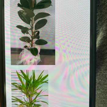 Çiçek Sepeti Yanlış Çiçek Teslimi