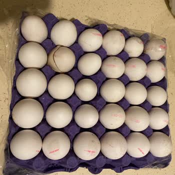 Tazem Yumurta TAZE'M Marka L Yumurta Alıyorsun İçinden Küçük Yumurta Çıkıyor