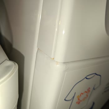 Profilo Çamaşır Makinesi Pas Şikayeti