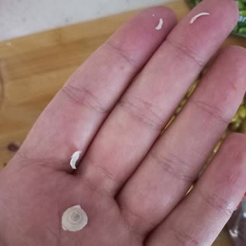 A101 Bezelyenin İçinde Salyangoz