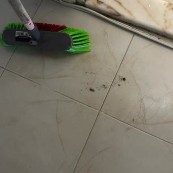 İzmir Karşıyaka Ege Temizlik Hizmetleri Konusunda Maalesef Olumsuz Bir Deneyim