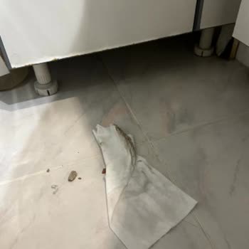 İzmir Karşıyaka Ege Temizlik Hizmetleri Konusunda Maalesef Olumsuz Bir Deneyim